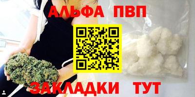 шишки Новодвинск
