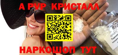 шишки Новодвинск
