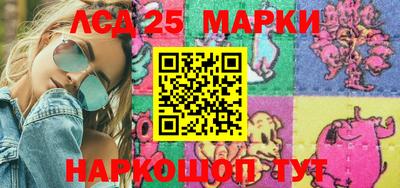 шишки Новодвинск