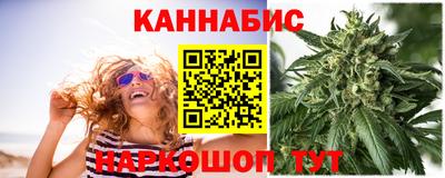 шишки Новодвинск