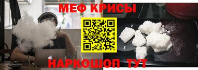 шишки Новодвинск
